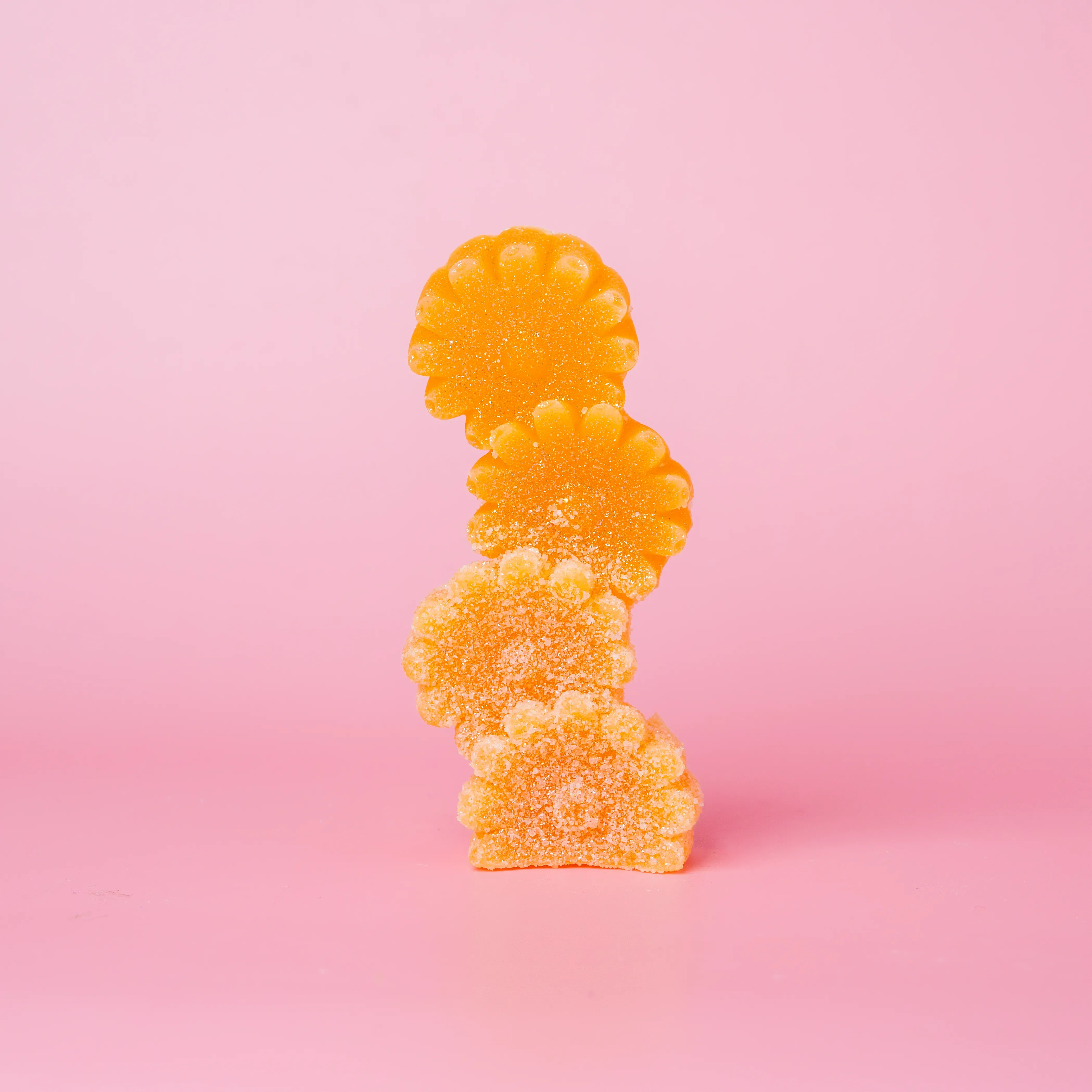 Crystal & Bloom Collection - Image 7